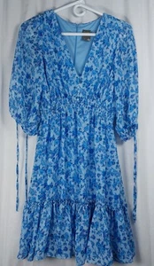 Taylor Blue Floral Cottage Core Dress with Ruffle Accents Feminine Flowy Size S - Picture 1 of 7