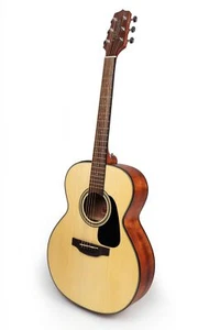 Takamine Electro Acoustic Guitar, Natural GLN12E NS - Picture 1 of 6