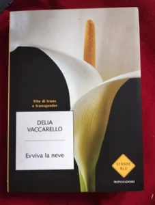 Evviva la neve. Vite di trans e transgender - DELIA VACCARELLO - Picture 1 of 1