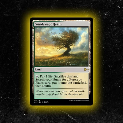 Windswept Heath - Custom Magic: The Gathering Card - High-Quality - Image 1 of 4