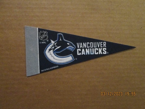NHL Vancouver Canucks Vintage 2006 RicoTag Express Mini 4x9 Hockey Pennant #2 Cover