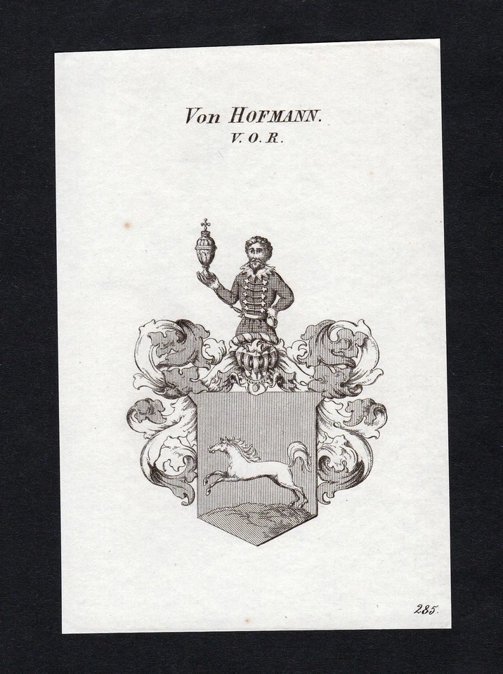 1820 Hofmann Wappen Adel coat of arms heraldry Heraldik Kupferstich engraving - Bild 1 von 1