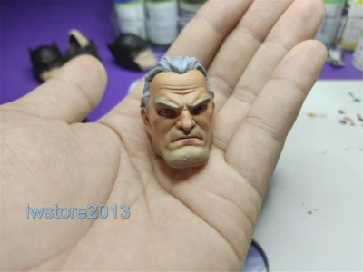 1/6 Cabeza Esculpida Héroes Caballero Oscuro Tallada Para 12" Figura de Acción Masculina Juguetes Corporales Foto 1 de 4