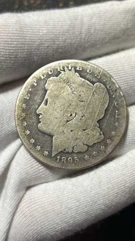 1895 S Morgan Silver Dollar damage Cover