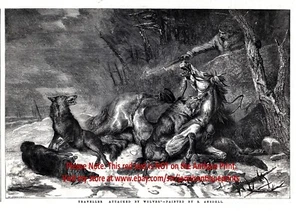 Wolf Pack Ataques Caballo y Jinete Viajero, Grande 1850 Antiguo Grabado Impresión - Imagen 1 de 4