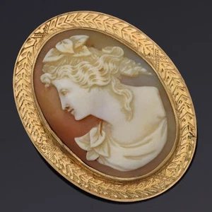 Antike 14K Gelbgold Kamee Muschel Brosche Anstecknadel Anhänger - Bild 1 von 5