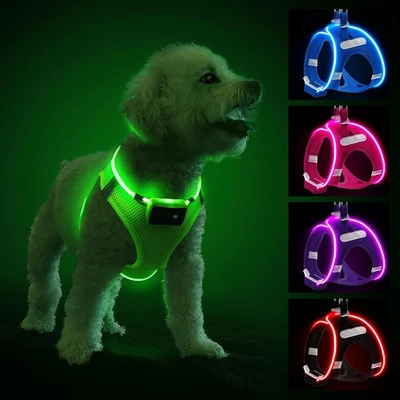 Pettorina per Cani Con Luce LED, Ricaricabile, Impermeabile, Lampeggiante, per C - Immagine 1 di 4