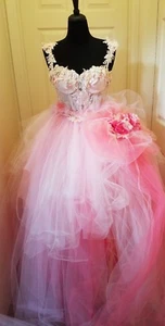 Ivory Pink Embroidered Lace Tulle Victorian Garden Bridal Wedding Ballgown Set - Picture 1 of 12