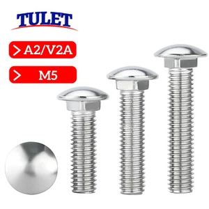 Tornillos de bloqueo de acero inoxidable M5 DIN 603 A2 tornillos planos redondos acero plano M5x - Imagen 1 de 15