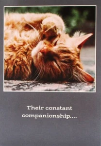 Pet Sympathy Card "Their constant companionship..." Loss of Cat. Loss of Pet, 1Y - Picture 1 of 4