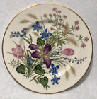 Franciscan Mariposa Salad Plate 1949-1955 Vintage 8 3/8” Floral