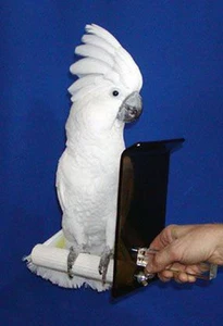 BITE GUARD SAFETY PERCH for NIPPY BIRDS 2" diameter perch for LARGER parrots - Picture 1 of 2