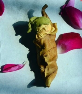 Sleeping Baby Leaf Shaped Statue Fairy Sculpture Tabletop Figurine Garden Decor - Picture 1 of 4