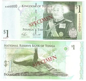 Tonga - 1 Pa'anga 2008 UNC P. 37s - Specimen Lemberg-Zp - Picture 1 of 1