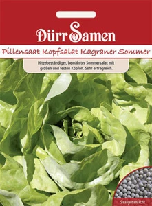 Pastillas ensalada para cabeza Kagraner verano ensalada para cabeza semillas de Dürr semillas aprox. 500 granos - Imagen 1 de 1