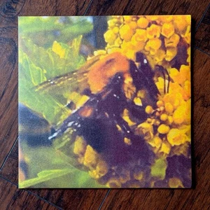 Broncho - Natural Pleasure (LP, Ltd, Tra) (Mint (M)) - 3701431042 - Imagen 1 de 5