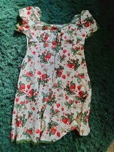 vintage style Gorgeous 3xl Strawberry Dress NWT Cider - Picture 1 of 6