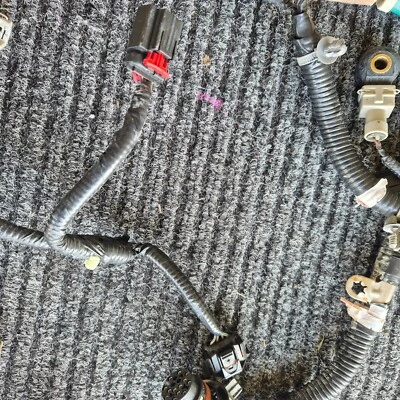 Arnés de cableado del motor Ford Falcon FG N/A 4,0 Lt ZF 6 velocidades, conversión Barra, BF Foto 1 de 4