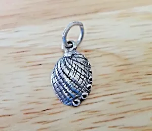 Sterling Silver 3D 16x10mm Mother of Pearl Seashell Abalone type Shell Charm - Picture 1 of 4