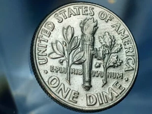 🙂 2004-D ROOSEVELT DIME HAS THE WOODIE (IMPROPER ALLOY MIX MINT ERROR). - Picture 1 of 3