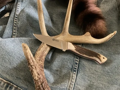 Boker Arbolito Stag Fixed Blade Hunter/Camp Knife - Image 1 of 4