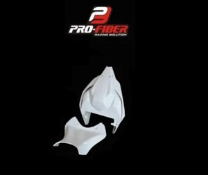 2021-2022 Kawasaki ZX10R ZX10 FIBERGLAS RACE SBK SCHAUM TAIL UNIT TRACK TAG 21-22 - Bild 1 von 1
