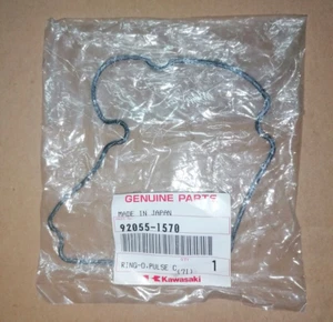 RING-O PULSE GUARNIZIONE ORING KAWASAKI Z 750 800 ZX9R 92055-1570 - Foto 1 di 1