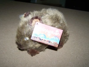 TUBBY the Wombat - Picture 1 of 6