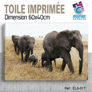 60x40cm -leinwand Gedruckt - Bild Plakat Deko -elefant Felin - EL8-01T - Bild 1 von 1