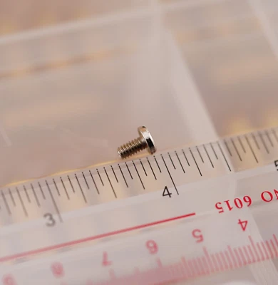 Sterling Arms Model 400 MKII .380ACP Pistol OEM Grip Screw (Each) - Image 1 of 4