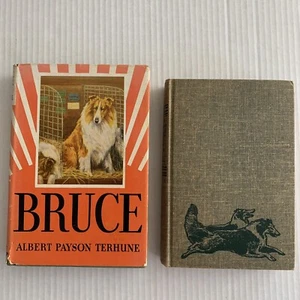 Bruce and Lad Further Adventures Dog Book Lot Albert Payson Terhune Vintage HC - Picture 1 of 19