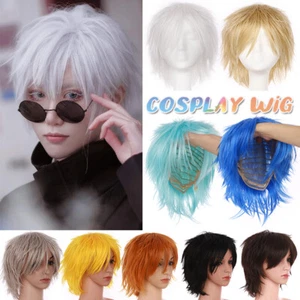 100% Cool Anime Cosplay Wig Short Straight Men Boy Cartoon Party Hair Full Wigs - Picture 1 of 37