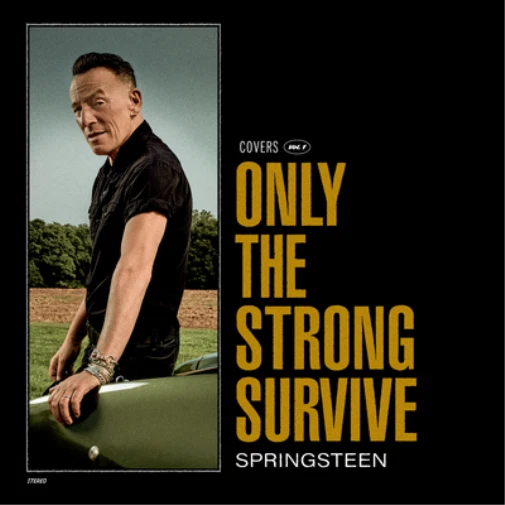 Bruce Springsteen Only the Strong Survive (CD) Album - Immagine 1 di 1