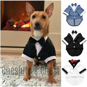 Charming Dog Tuxedo Suit Bow Tie Wedding Party Puppy Costume Cat Clothes