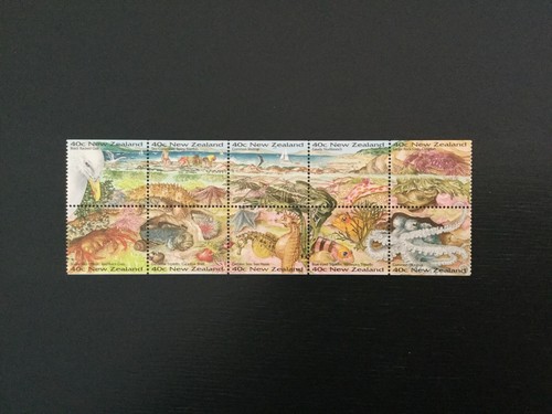 Bild 1 von 1