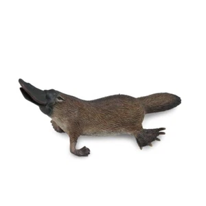 Collecta Wildlife Model 88795 - Platypus - Picture 1 of 1
