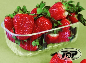 2300 Beerenschalen Beerenobst Verpackungsschalen Obstschalen für 250g PET klar - Bild 1 von 1