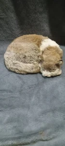 Sleeping Cat. Tan And White. Genuine Fur. Realistic!!! - Picture 1 of 11