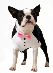 Dog Tuxedo for XXS dogs. 6" Long with Pink Bow Tie - Picture 1 of 5