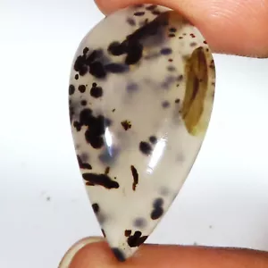 22.60 Karat Landschaftlich Dendritisch Achat Birne Cabochon Edelstein 16x28x6 MM - Bild 1 von 6