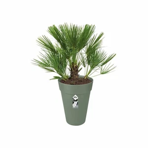Plant pot Elho Green Ø 34 cm Plastic Circular Modern - Imagen 1 de 3