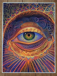 Verziertes trippiges psychedelisches Alex Grey Stil Poster 18 x 24 Zoll - Bild 1 von 1