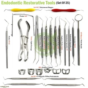 Endodontic Root Canal Operating Kit Filling Restorative Instruments Probe Scaler - Picture 1 of 16