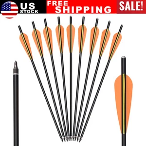 6/12Pcs 17" SP500 Fiberglass Arrows For Recurve/Compound Bow Archery Practice - Picture 1 of 8