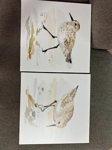 Stupell Industries Sea Birds on Shore 2 Piece Canvas Wall Art by Victoria Barnes - Picture 1 of 1