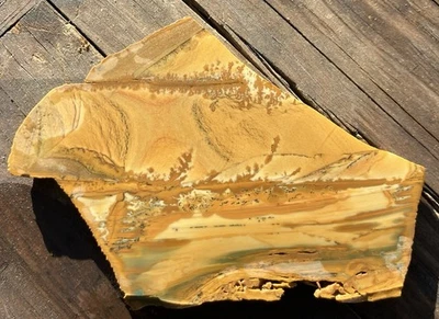 Old Stock Owyhee Jasper Slab For Lapidary Cabbing Or Display Unpolished - Image 1 of 4