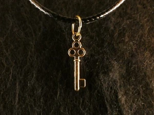 Anhänger mit Kette 24 Karat Vergoldet Schlüssel Key Liebe Herz Schloss Necklace - Bild 1 von 3