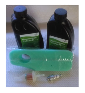 Set de Servicio Reacondicionamiento para Briggs & Stratton Motor 254707 Tractor - Imagen 1 de 3