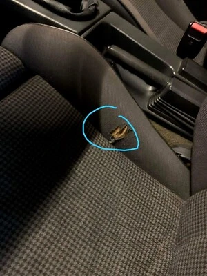 Tapicería de tela de asiento interior BMW E36 tela de asiento lateral negra original Foto 1 de 4