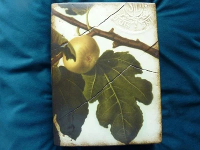 Sid Dickens - T 105 - Golden Fig - Released 2002 - Retired 2007 - Изображение 1 из 2